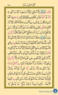 Sayfa: 315