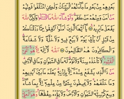 Sayfa: 41