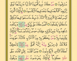 Sayfa: 222