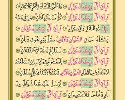 Sayfa: 531